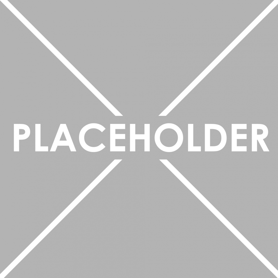 placeholder-3